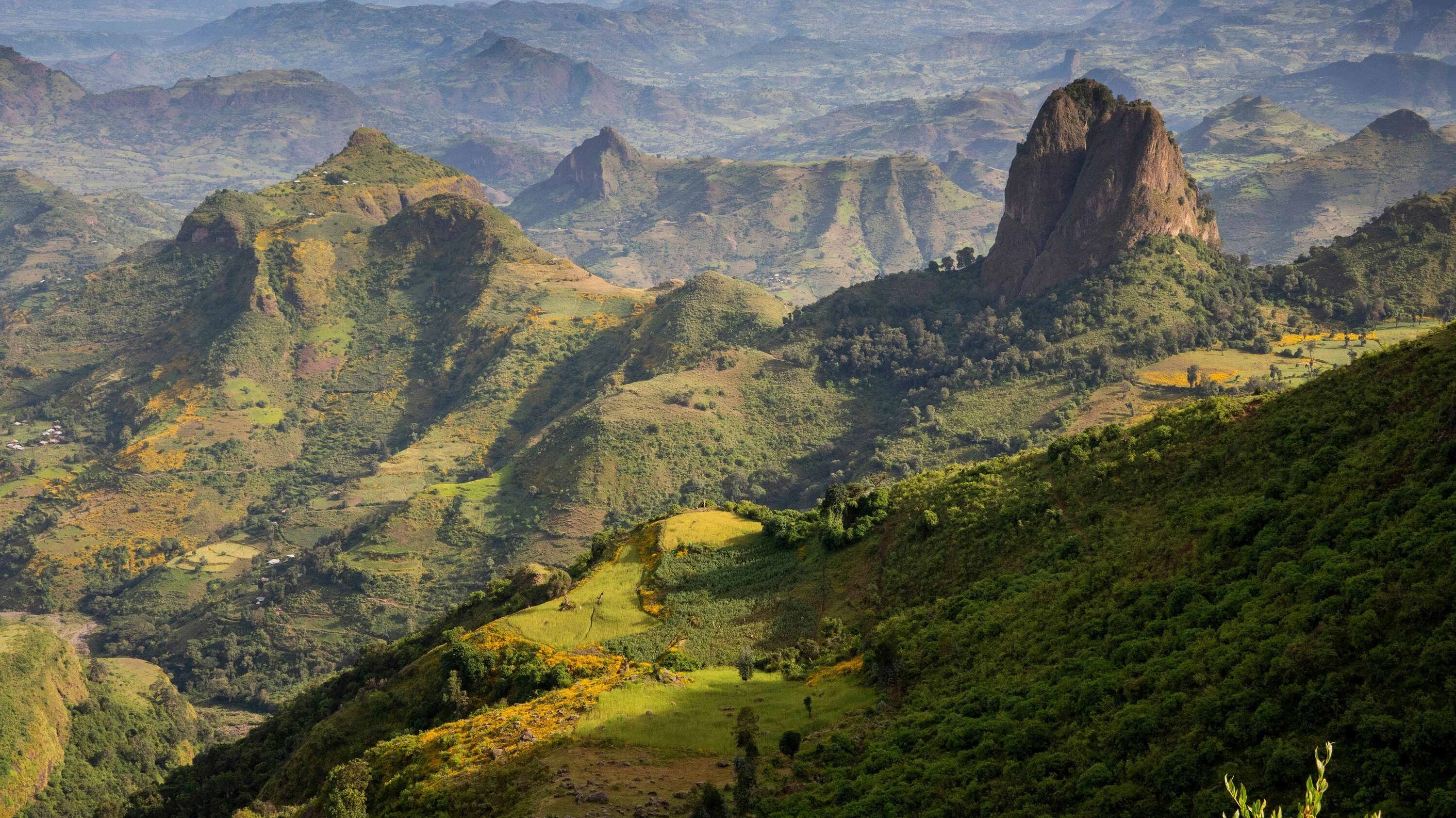 Восточное плоскогорье африки. Эфиопское Нагорье Африка. Эфиопское Нагорье климат. Национальный парк Сымен Эфиопия. Абиссинское Нагорье.