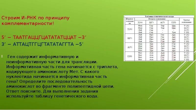 Установите последовательность нуклеотидов и рнк. Установите последовательность нуклеотидов и рнк. Установите последовательность нуклеотидов и рнк. Задачи на установление последовательности нуклеотидов. Установите последовательность нуклеотидов и рнк.