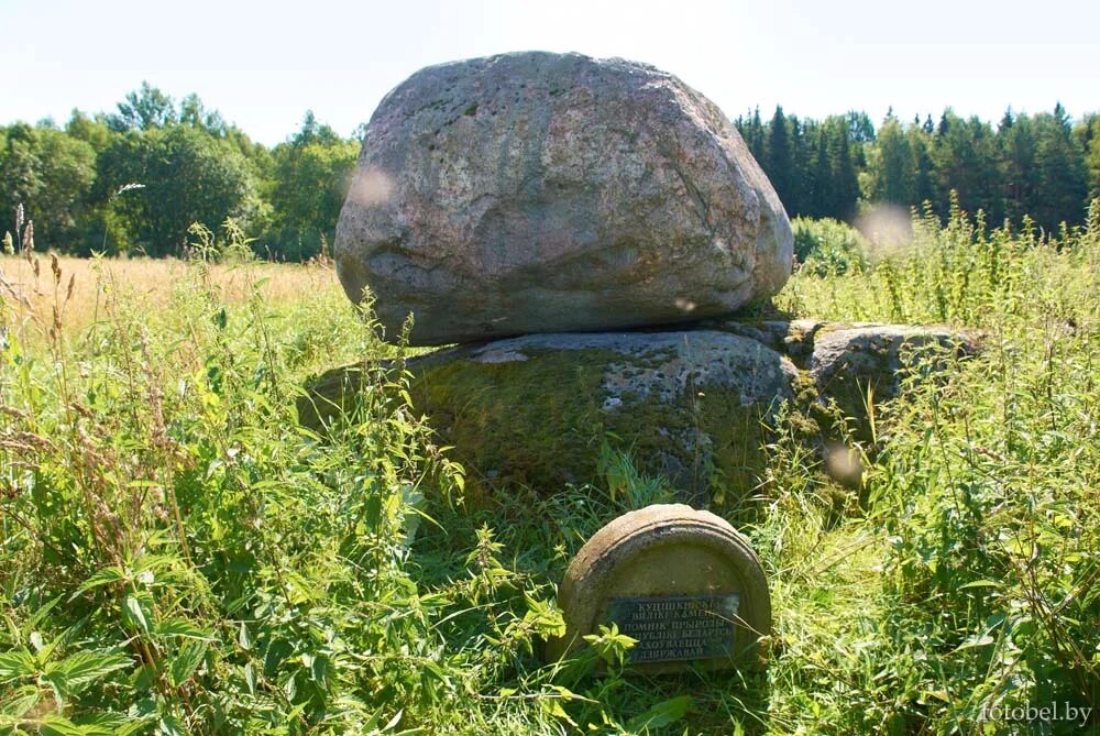 валун 5/80. гора воттоваара каменный бассейн. серый камень и дерево. памятники природы псковской области валун. валун индиана.