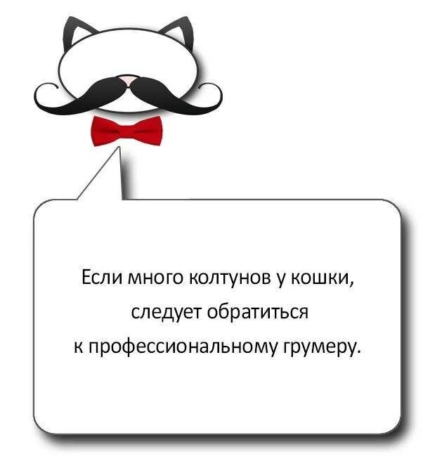 У кота пахнет изо рта причины. Советы от котика. Симптомы отравления котика. Запах изо рта у кота причины. Изо рта воняет тухлятиной