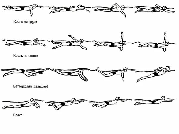 Плавание брассом и кролем. Стиль плавания Кроль. Стиль плавания брасс и Баттерфляй. Стиль плавания Кроль брасс. Плавание кролем баттерфляем.