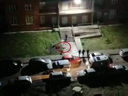 Нашли под окнами