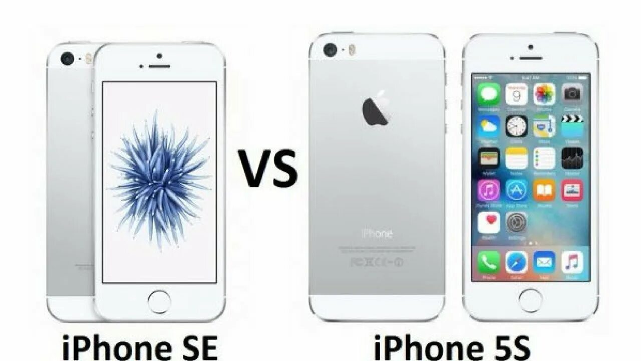 Айфон 5s и se. Iphone 5se. Iphone 5s Size. Айфон 5 и айфон 5se. Сравнить айфон se