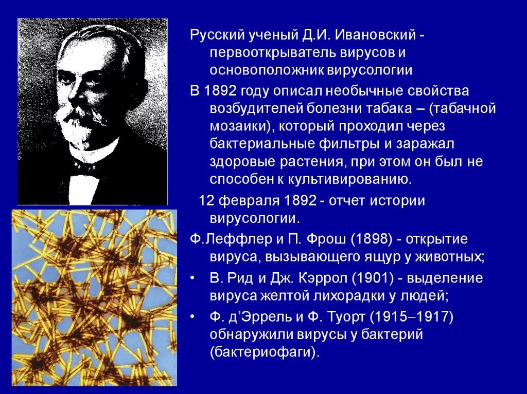 Наука изучающая вирусы. Ивановский основоположник вирусологии. Ученый д.и Ивановский открытия. Д.И.Ивановский - основоположник учения о вирусах. Первооткрыватель вирусов д.и Ивановский.