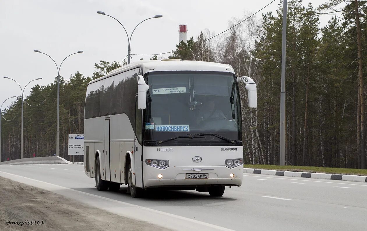 Кемерово горно алтайск автобус. Автобус Higer klq6109q. Хайгер 6109. Higer,klq6109q,2008. Автобус Новосибирск Горно Алтайск.