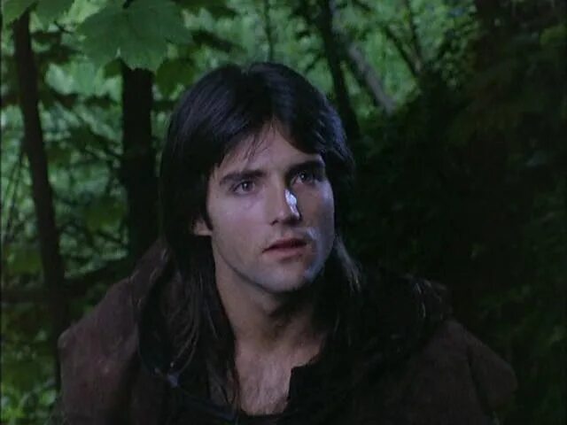 робин из шервуда 1984