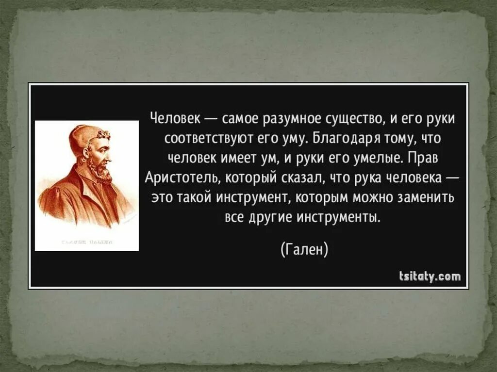 Есть знаменитая фраза выбери работу по душе. Цитаты великих. Высказывания великих людей. Афоризмы великих людей. Мысли великих людей.