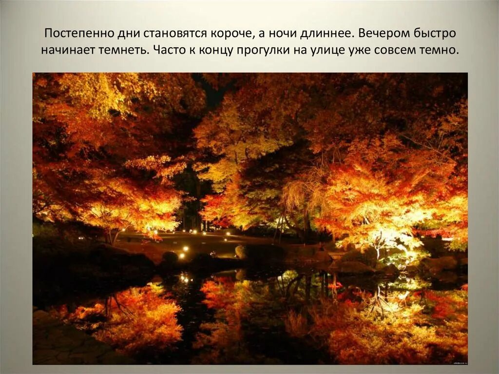 Слова песни темная ночь. Ночи стали коротки песня. Дни стали длиннее. Дни короче. Темная ночь слова.