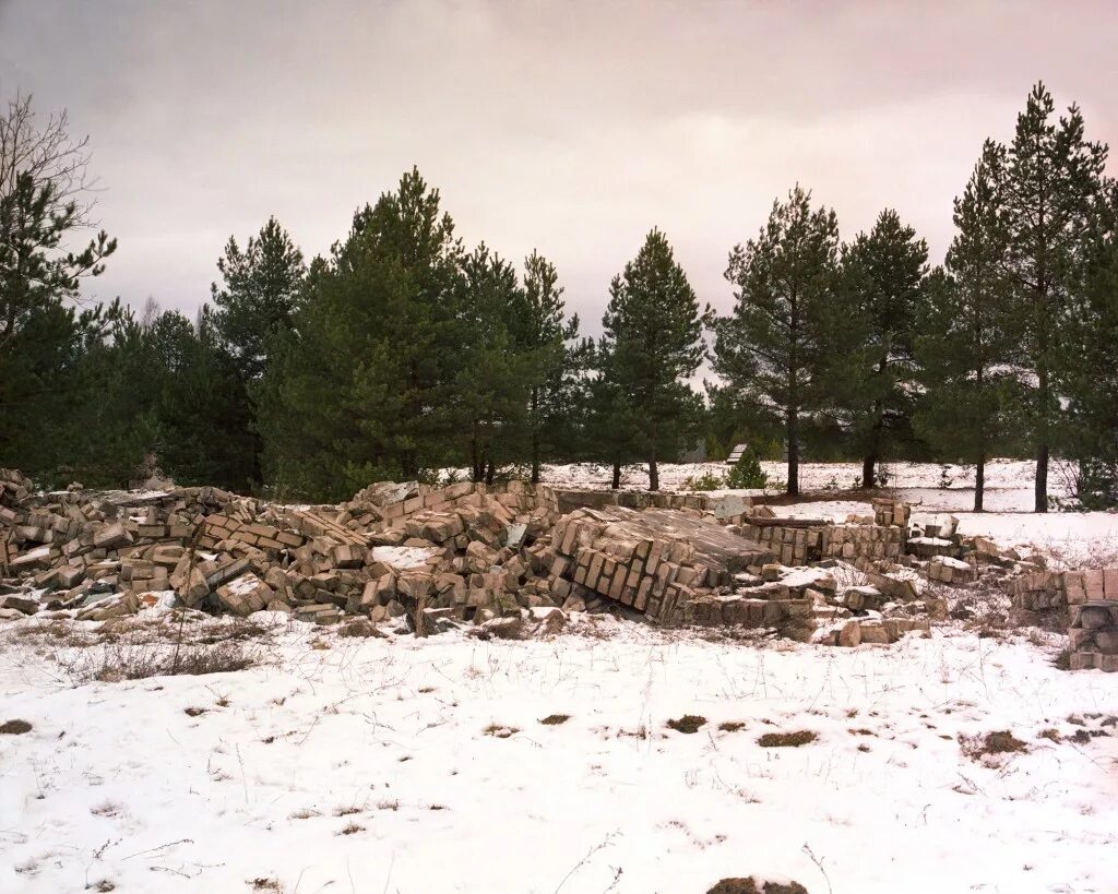 Филин мимикрия. Снайперский камуфляж невидимость. Найди снайпера. Замаскированный снайпер в лесу. Маскировка снайпера.