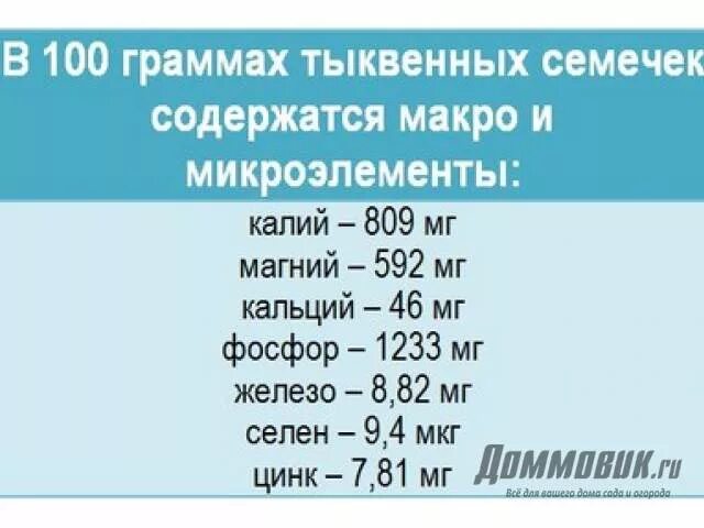 В 100 граммах тыквенных семечек содержится. Микроэлементы в семенах тыквы. Тыквенное семя состав. Тыквенные семечки состав микроэлементов. Микроэлементы тыквенных семечек.