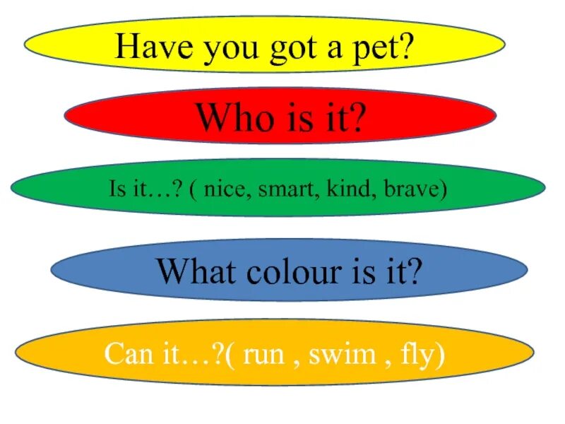 Have you got a Pet. What Pets have you got what Colour. It is nice. What Colour is it.