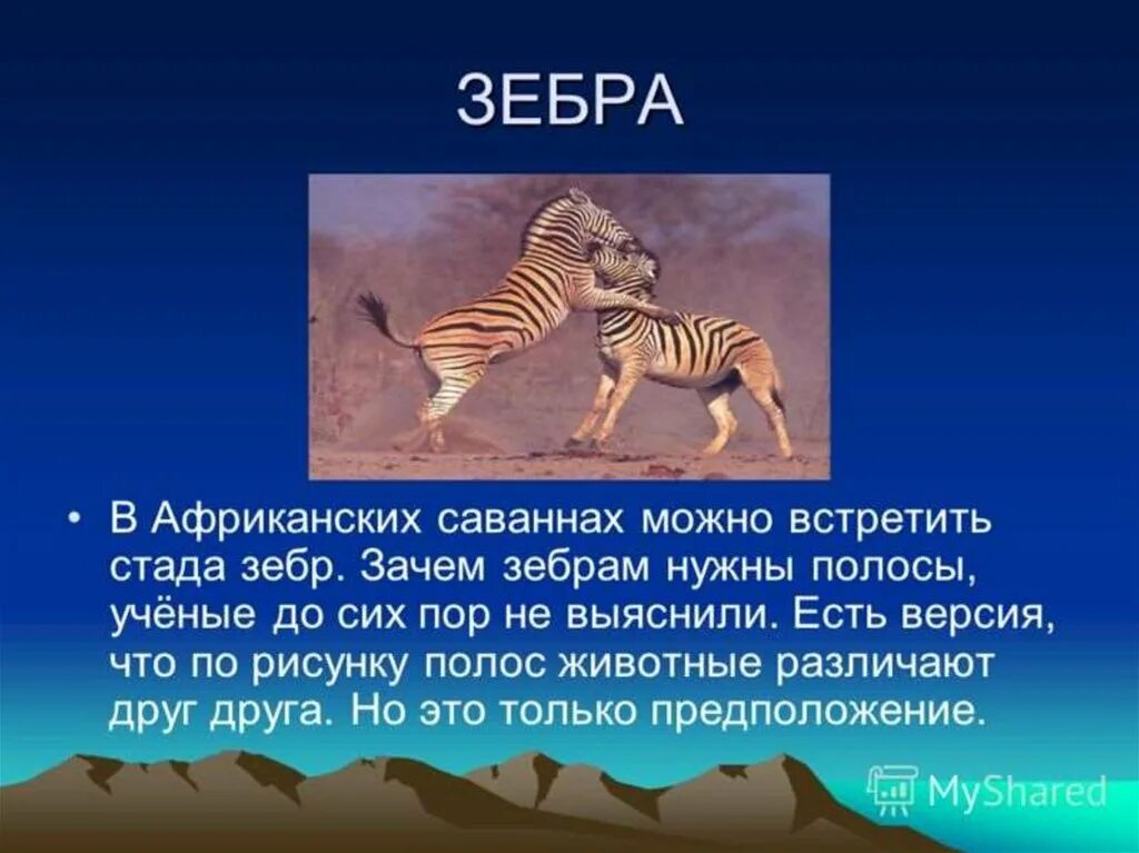 Животные африки 2 класс. Презентация про животных. Африканские животные презентация. Животные Африки презентация. Зебра для презентации.