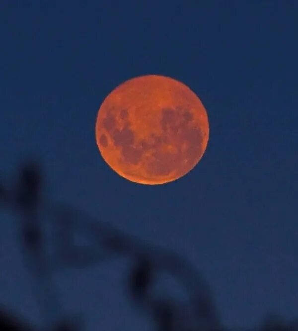 Большая оранжевая луна. Оранжевая Луна. Луна оранжевого цвета. Огромная оранжевая Луна. Оранжевая Луна на небе.