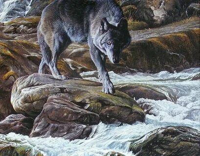 Hunt other