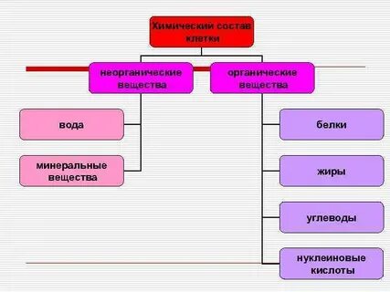 Неорганические вещества клетки конспект 10 класс биология
