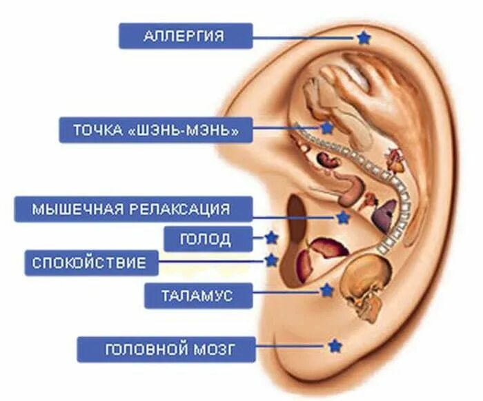 Кинь точки. Точки на ухе от курева. Акупунктурные точки от курения. Точки акупунктуры на ухе от курения.