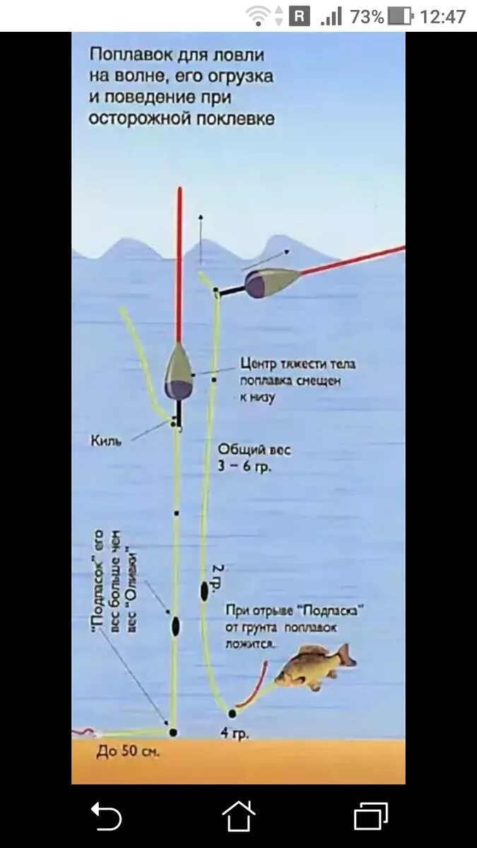 Какой груз на поплавок. Схема поплавочной снасти на карпа. Оснастка удочки с поплавком для ловли карпа. Карасиный поплавок для стоячей воды. Огруженный поплавок монтаж.
