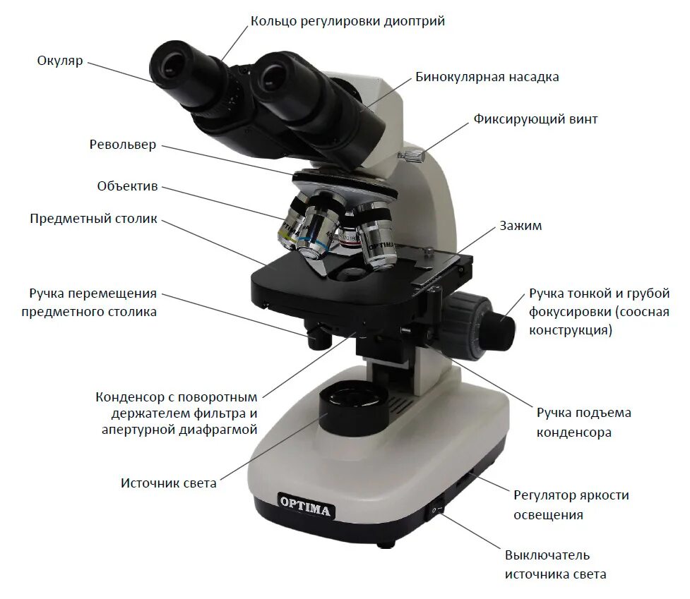 Какую функцию выполняет столик в микроскопе. Микроскоп бинокулярный 107e. Микроскоп бинокулярный Биомед 4 led РЭ. HUMASCOPE Advanced led бинокулярный лабораторный микроскоп (14600). Микроскоп бинокулярный Microscope g 208 f2.