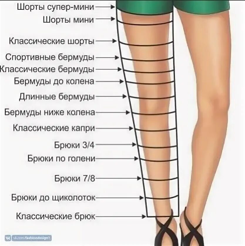 Как называются чуть ниже колена. Длина выше колена. длина шорт. длина чуть выше колена как называются. длина до колена.