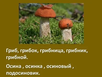 Рот рта год года гриб грибы