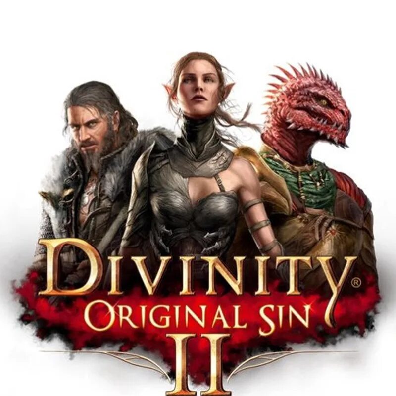 Divinity дополнения. Divinity original sin 2. divinity original sin 2 обложка. divinity original sin 1. divinity original sin 2 постер.