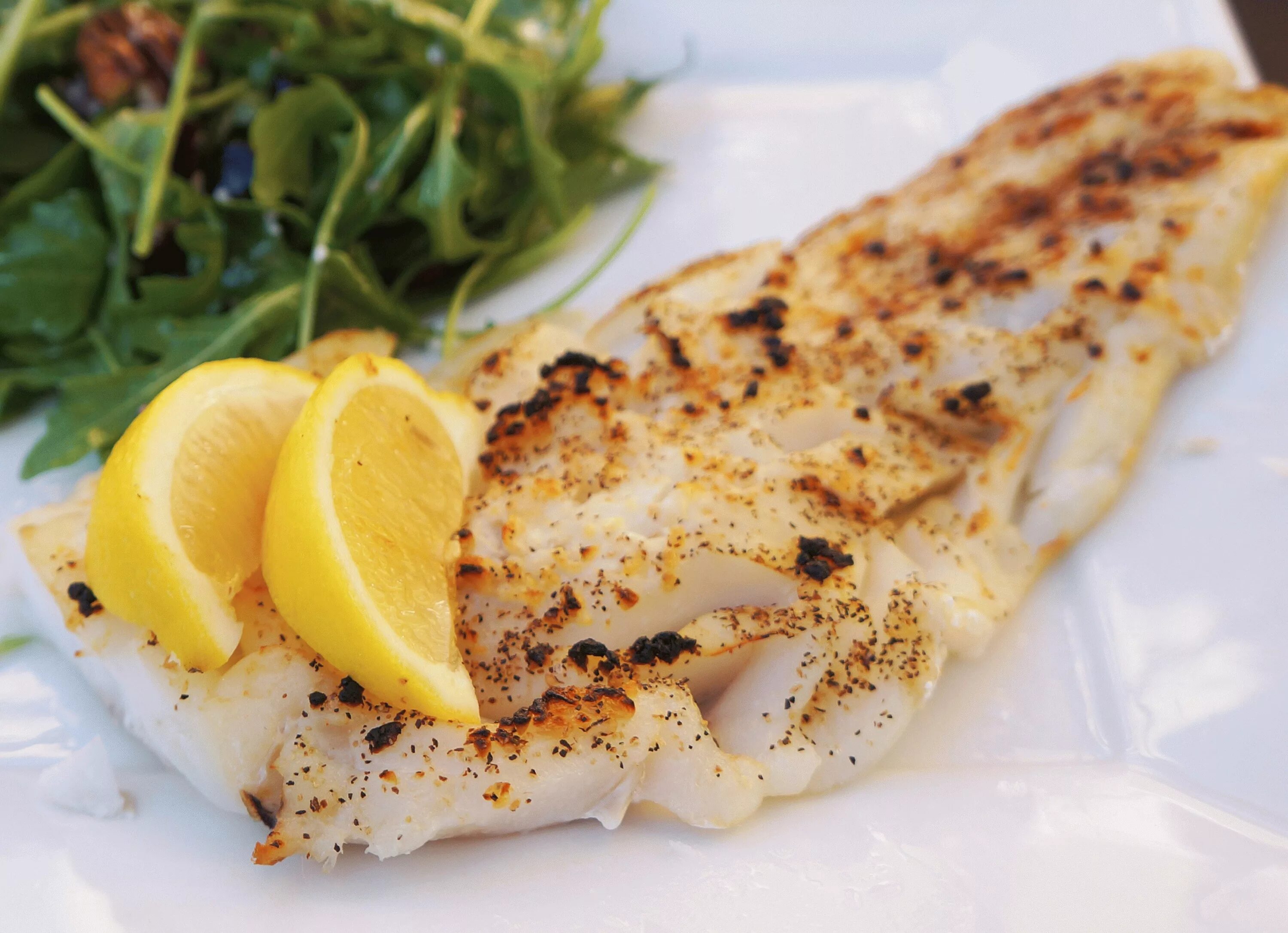 филе судака в духовке самый. филе судака припущенное с овощами. палтус с овощами на гриле. филе судака запеченный в духовке. филе сибаса на гриле.