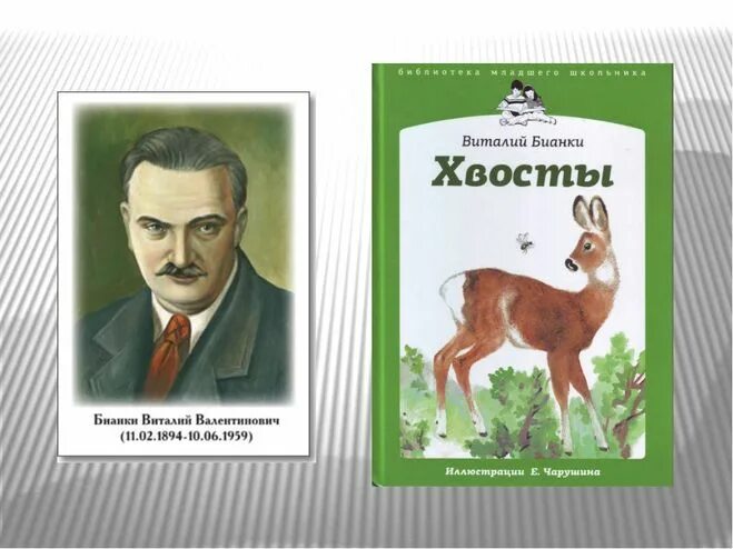 Бианки хвосты текст. Произведения Виталия Бианки хвосты. Рассказ Виталия Бианки о хвостах.