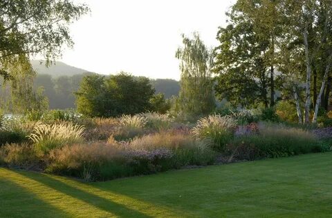 New garden
