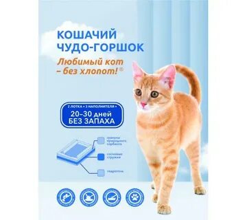 Чудо кот слушать