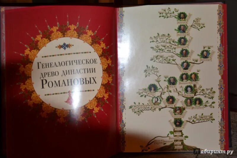 Романовы древо фото. Генеалогическое дерево династии Романовых. Родословное дерево династии Романовых. Родословная книга Романовых. Генеалогическое Древо книга.