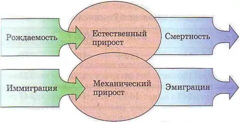 Механический прирост населения
