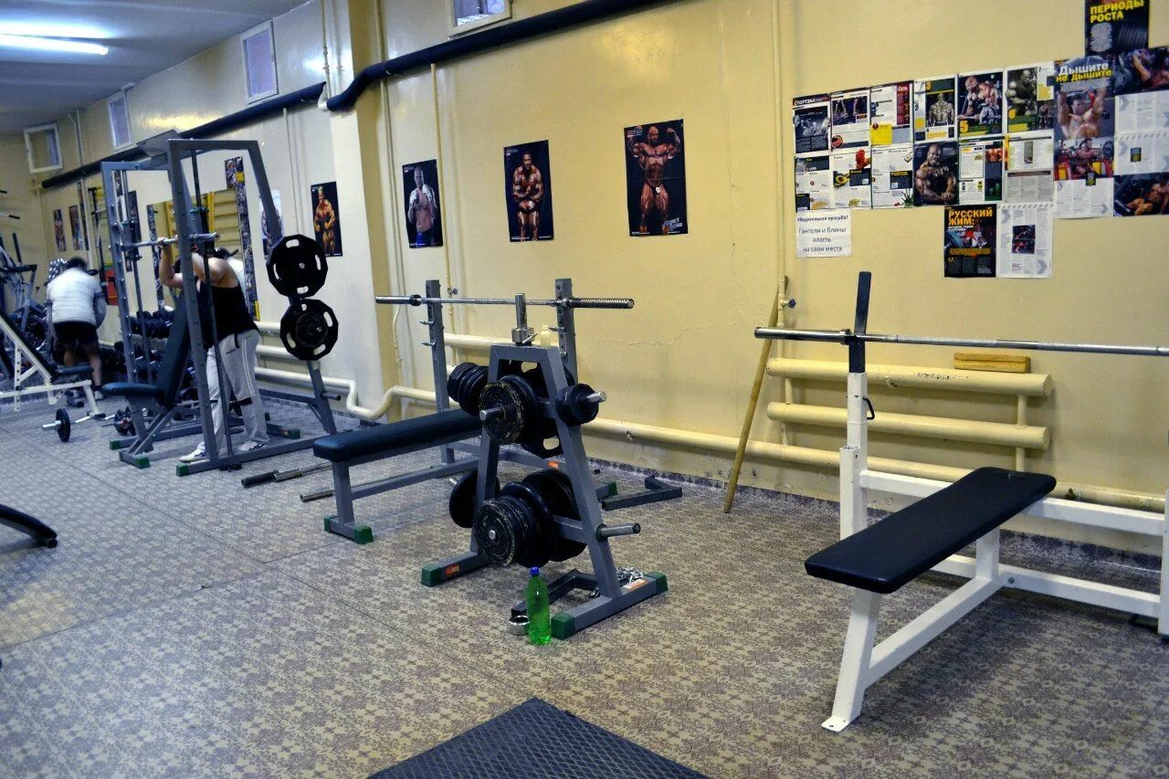 Тренажерный зал медведь. Медведь сочи тренажерный зал. Спортивный зал медведь. Тренажерный зал медведь миасс. Тренажерный зал медведь.