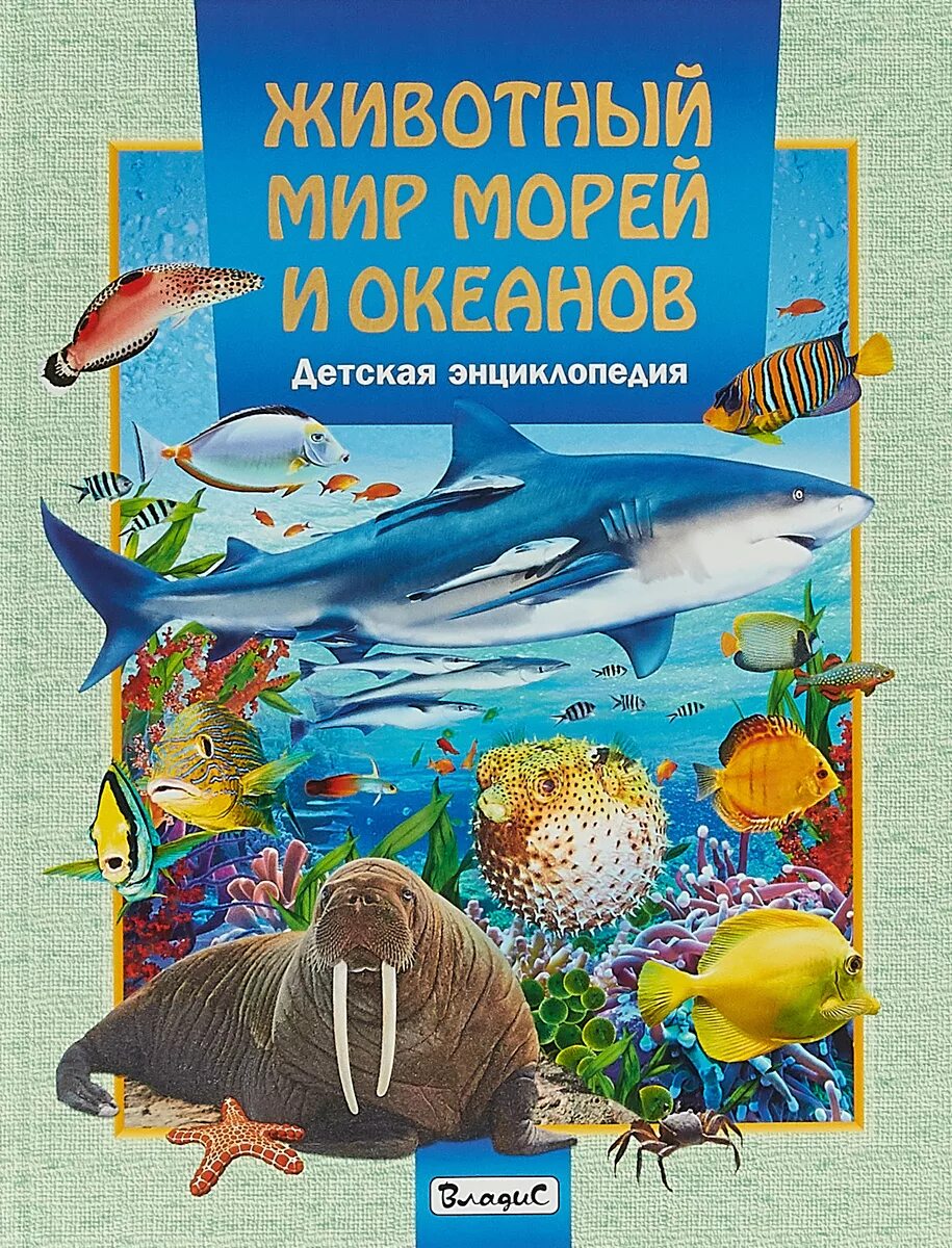 Энциклопедия для детей. Книга морские обитатели. Обложка энциклопедии для детей. Энциклопедия для детей книга. Живой мир морей и океанов подготовительная