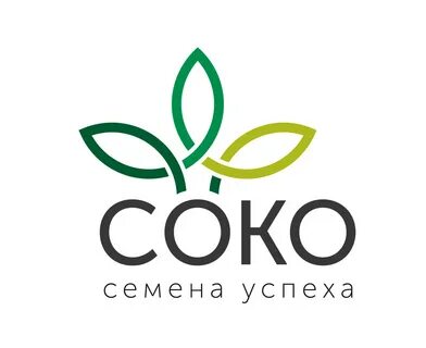 Селекта семена