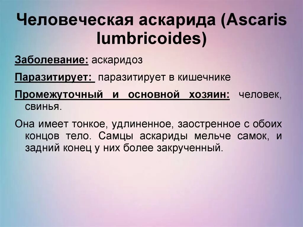 Аскарида человеческая основной и промежуточный хозяин. Аскарида основной и промежуточный хозяин. Промежуточный хозяин аскариды. Промежуточный хозяин аскорид. Аскаридоз промежуточный и основной хозяин.