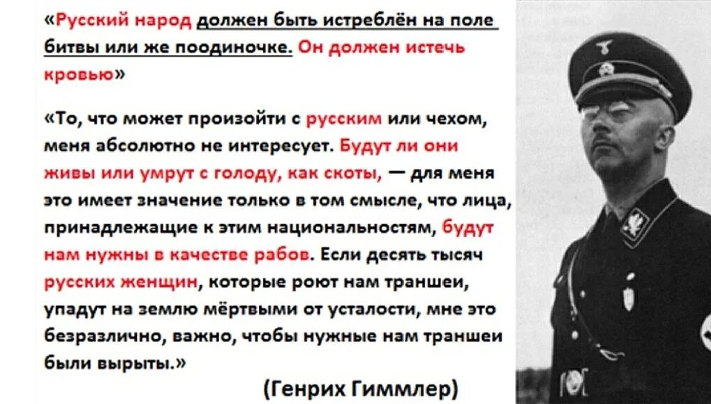 Фашистские течения. Нацистские высказывания. Высказывания фашистов. Высказывания про нацистов. Гиммлер о славянах.