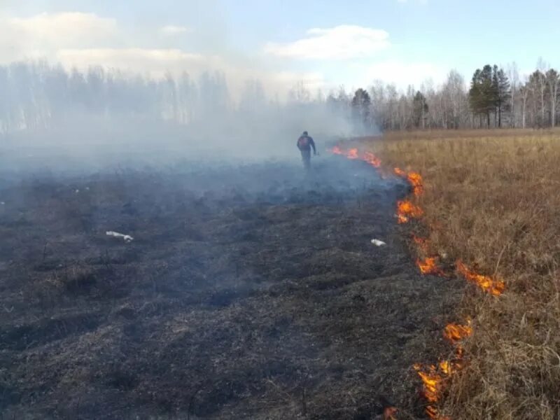 Пожарные дружины пал травы. Пожары в Зейском районе. Пожары в Амурской области сейчас. Горение травы фото.