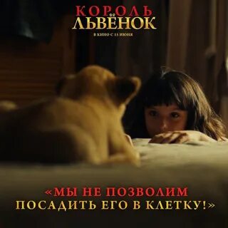 Львенок 2022