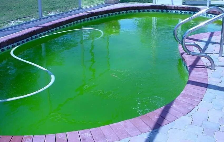 Бассейн зацвел. Бассейны зеленого цвета. Что сделать чтобы бассейн не зеленел. Цветет бассейн. Водоросли в бассейне.