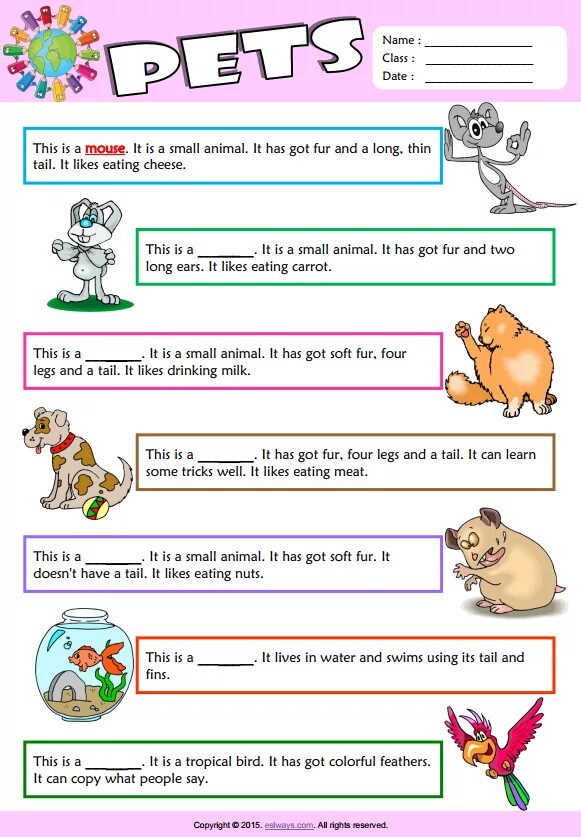 Keeping wild animals as pets essay