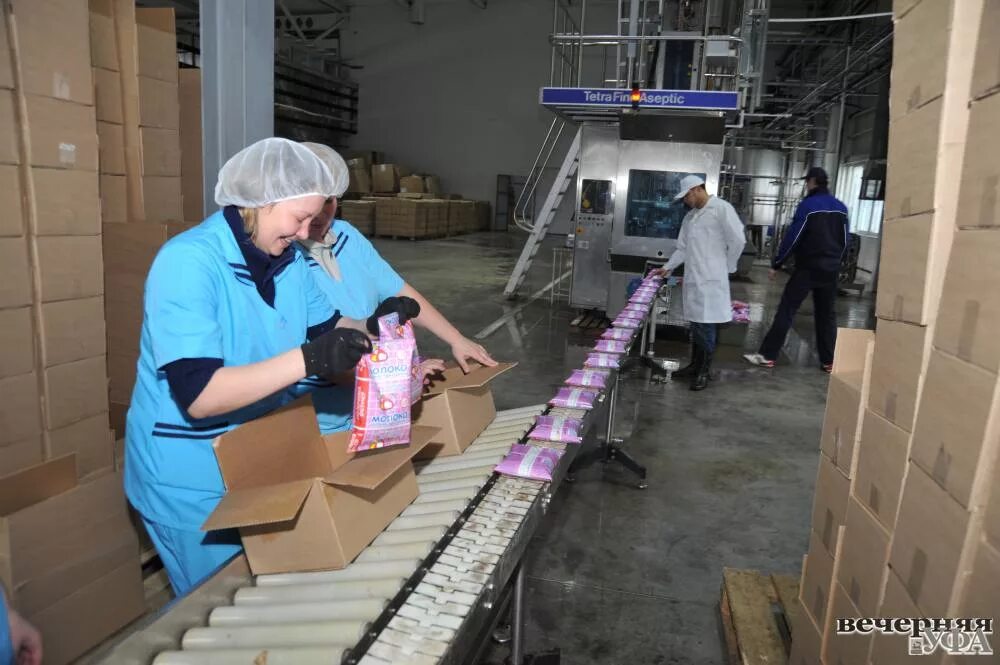 уфимский молочный завод. молокозавод уфа. уфа молочные заводы. молочный завод уфа. молочный завод уфа.