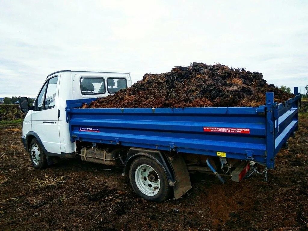 Купить навоз цены. Газель самосвал перегнрц. Конский перегной в Газель. Навоз коровий ЗИЛ. Газель перегной перегной.