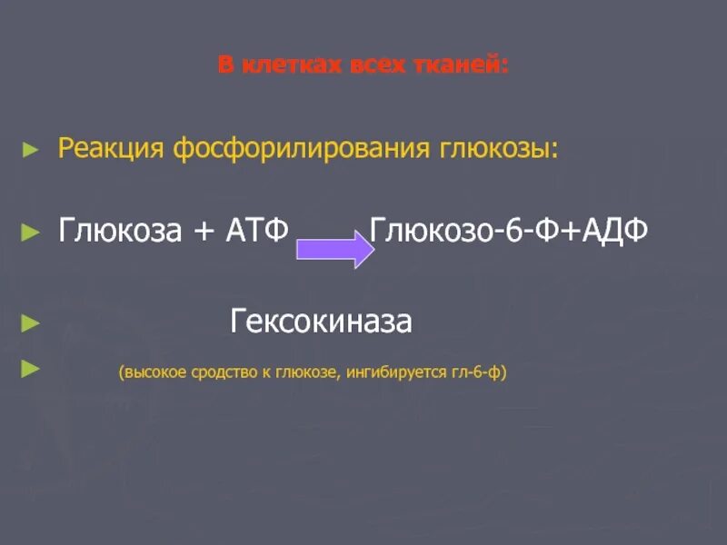 Атф глюкоза адф. Реакция фосфорилирования АДФ. Фосфорилирование Глюкозы. АДФ Ф АТФ. Фосфорилирование Глюкозы значение.