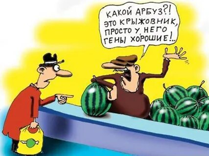 Анекдоты про овощи