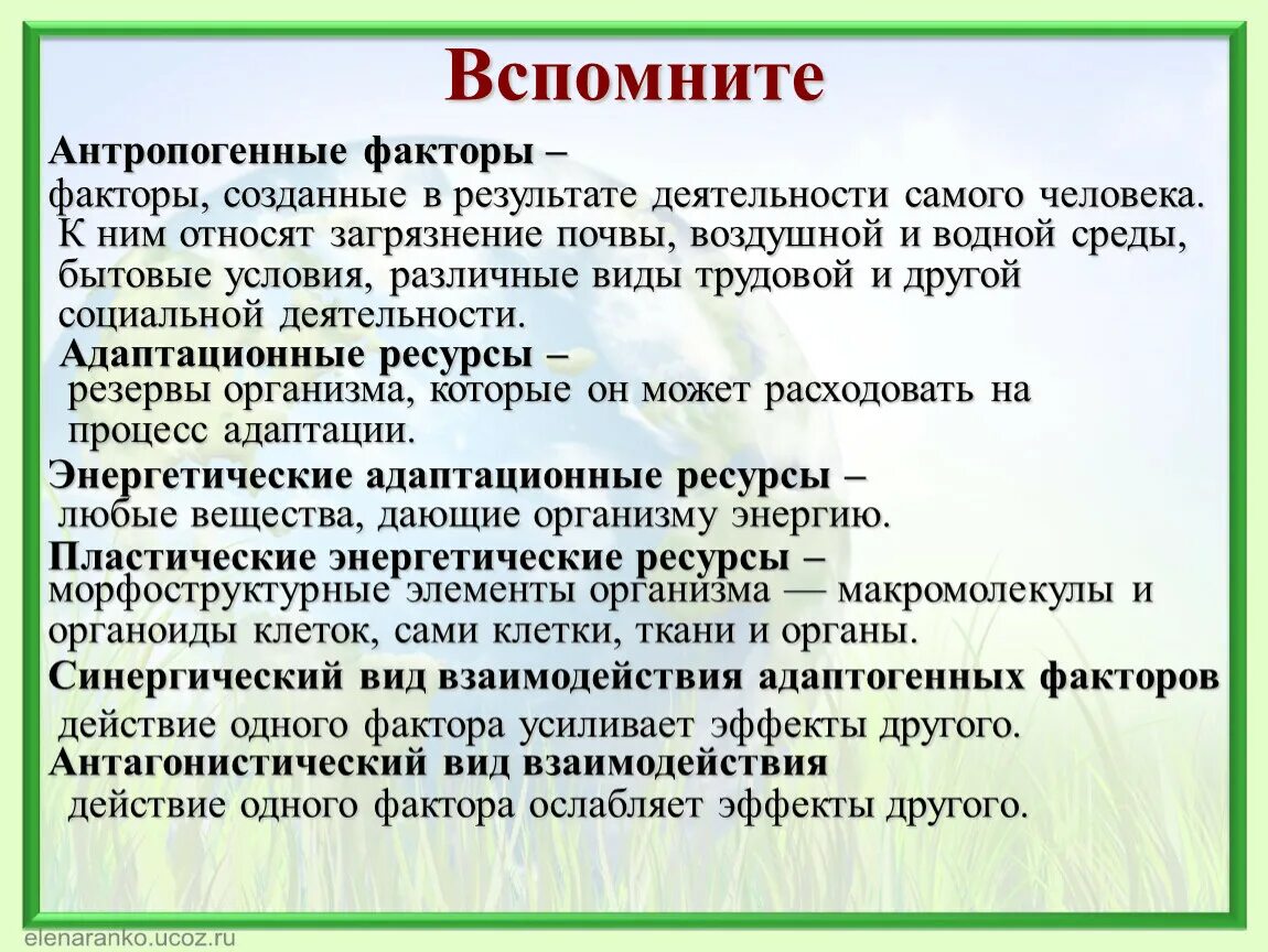 Что не относится к антропогенным факторам среды. Антропогенные факторы адаптации. Адаптация растений к антропогенным факторам. Адаптация животных к антропогенным факторам. Адаптация организмов к антропогенным факторам.