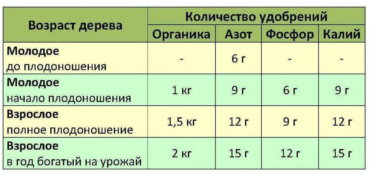 Как часто можно вносить. Нормы внесения удобрений для плодовых деревьев. Нормы внесения удобрений под плодовые деревья весной. Яблоня Минеральные удобрения нормы внесения.