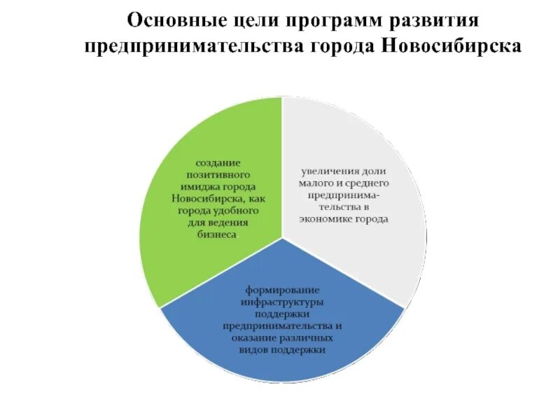 Развитие города с бизнесом. Цели развития бизнеса. Цель социального предпринимательства. Планирование развития предпринимательства Новосибирска.