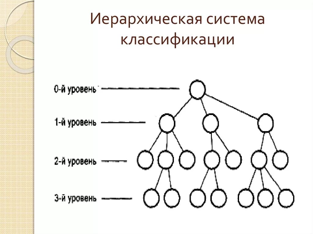 Иерархия классификации