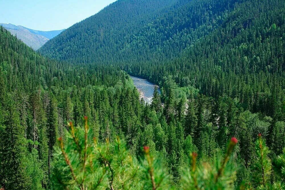 природные ресурсы потенциал. водные ресурсы. природная держава. природные ресурсы россии фото. природа нашей родины.