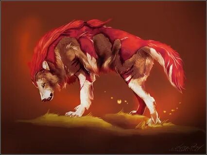 Red wolf 18
